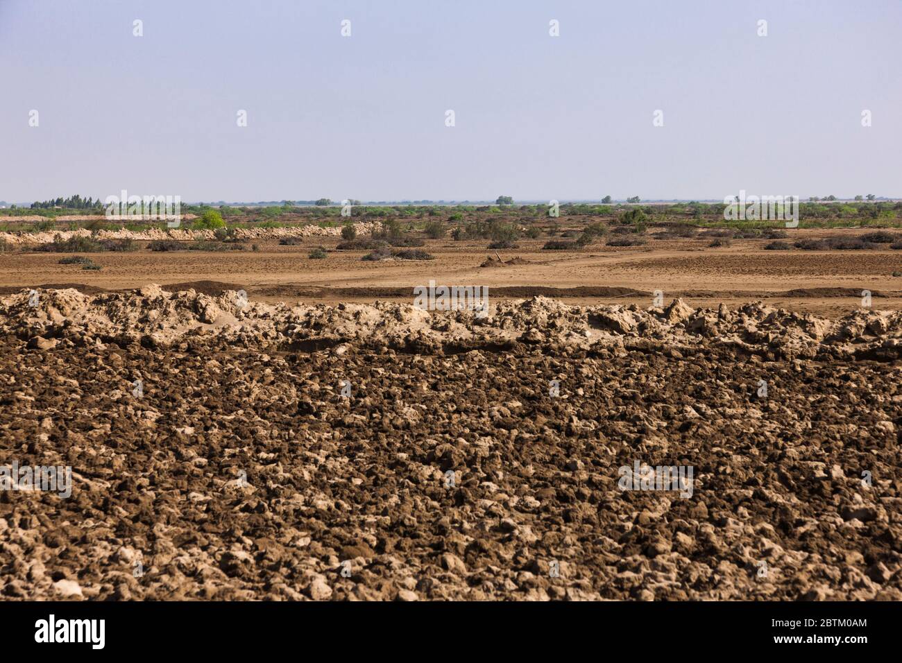 Champs agricoles près de Makli, bassin inférieur de l'Indus, banlieue de Karachi, province de Sindh, Pakistan, Asie du Sud, Asie Banque D'Images