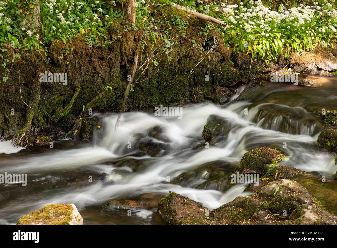 Petite cascade sur la rivière Alyn à Maeshafn, au nord du pays de galles Banque D'Images