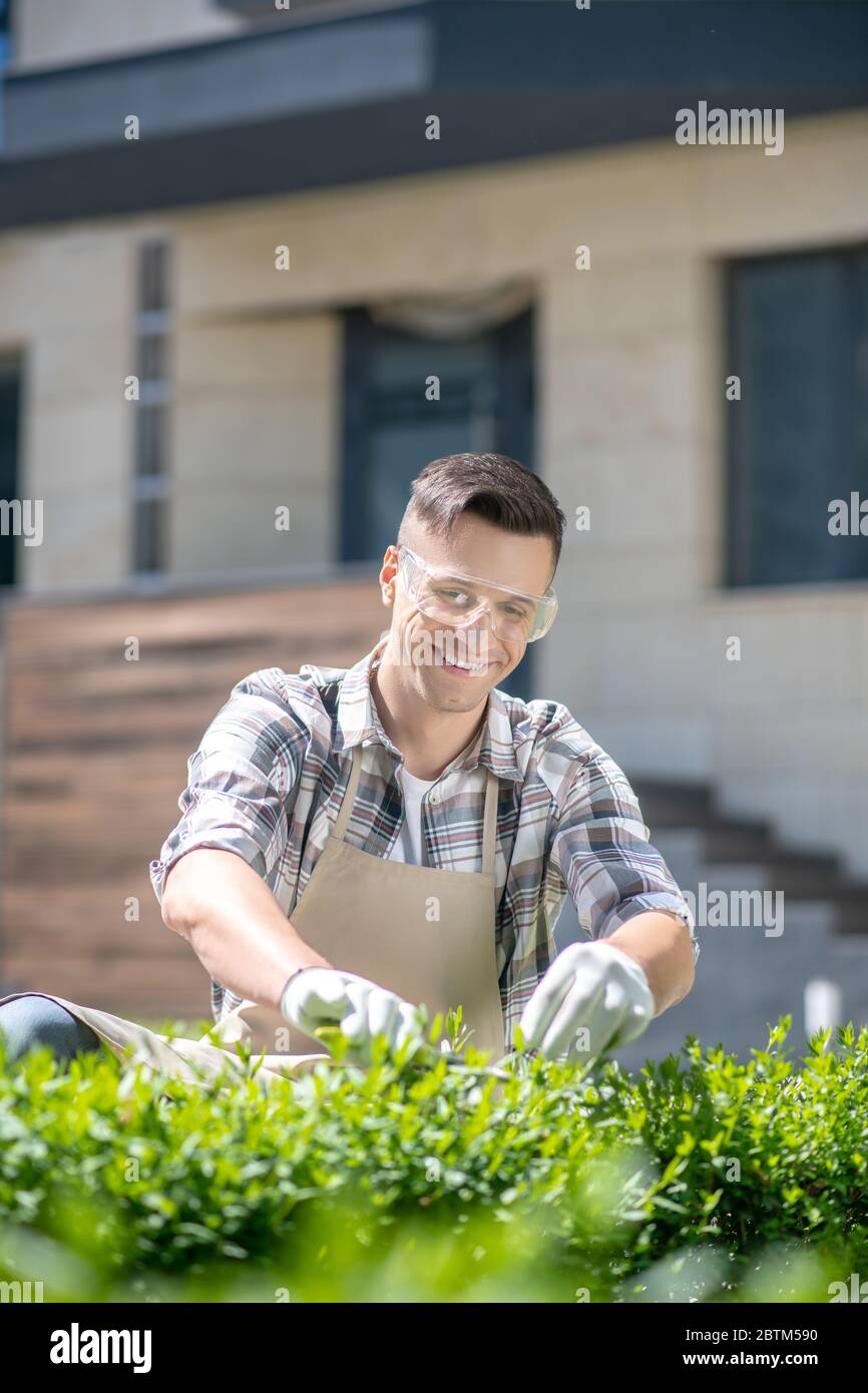 Homme aux cheveux foncés dans des lunettes et des gants de protection élagage des buissons dans la cour, souriant Banque D'Images