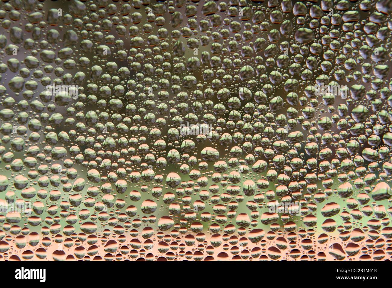 Les gouttes d'eau de condensation sur la vitre Banque D'Images