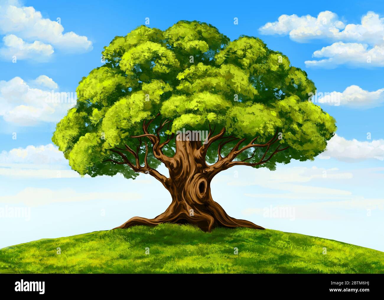 arbre vert contre un ciel bleu avec des nuages, belle nature, dessin à la main dessin art illustration peinte avec aquarelles. Banque D'Images