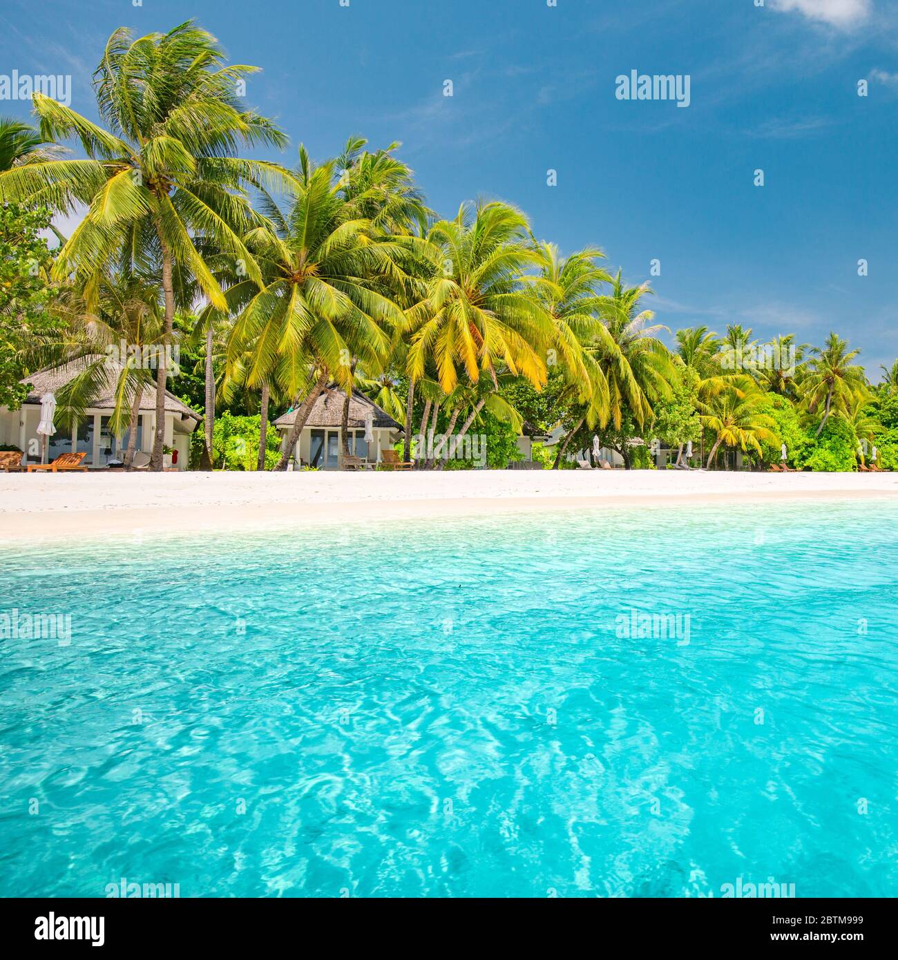 Fond tropical de plage comme paysage d'été avec balançoire de plage ou hamac et sable blanc et mer calme pour la bannière de plage. Des vacances parfaites sur la plage Banque D'Images
