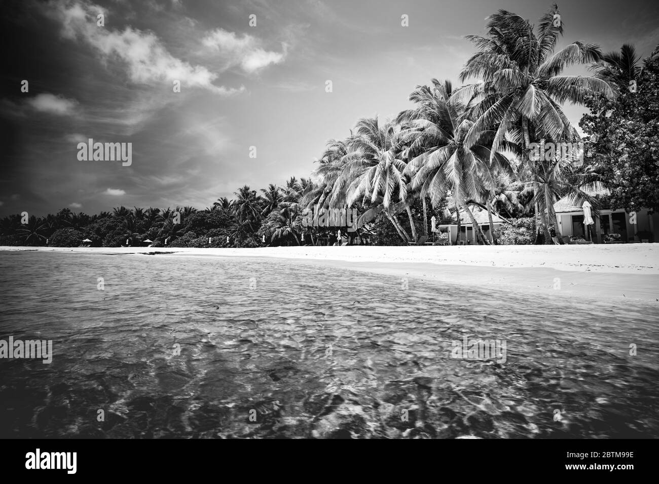 Résumé, vacances artistiques et vacances d'été. Scène de plage en noir et blanc parfaite. Coucher de soleil, silhouette de palmiers à noix de coco au lever du soleil Banque D'Images