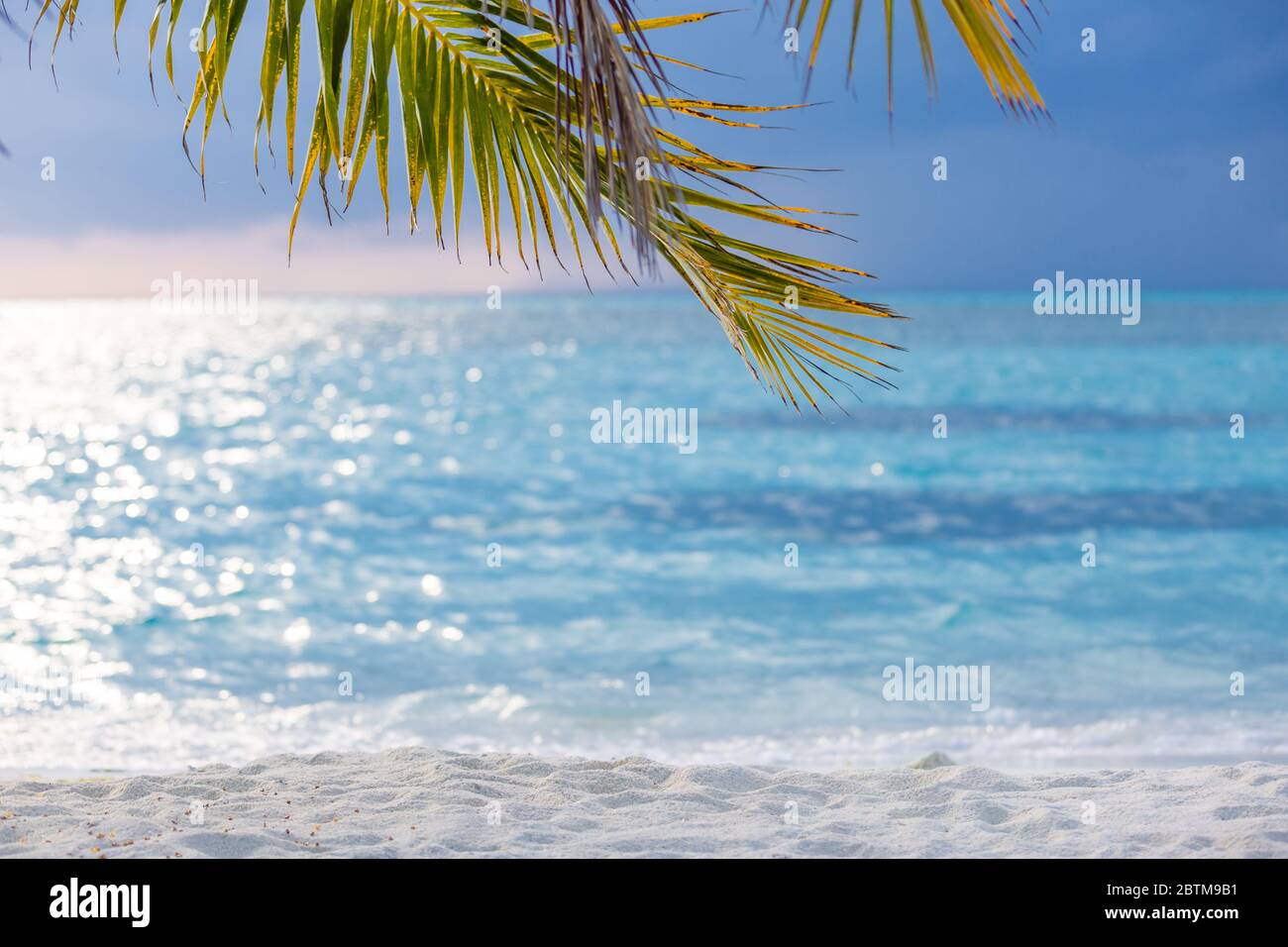 Plage tranquille et paisible. Voyage et vacances paysage toile de fond. Magnifique feuille de palmier sur flou rêve vue mer été. Coucher de soleil sur la plage Banque D'Images