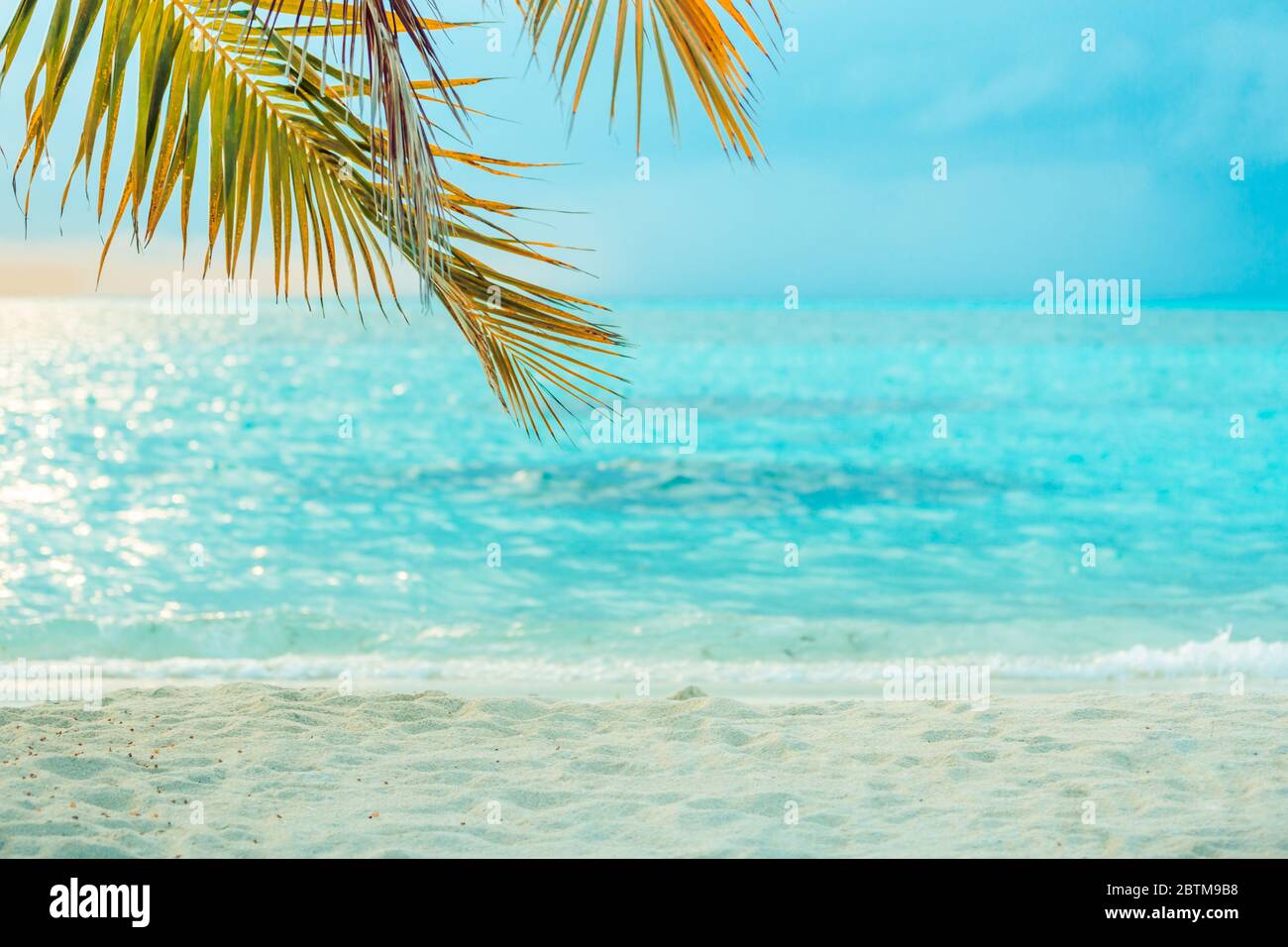 Plage tranquille et paisible. Voyage et vacances paysage toile de fond. Magnifique feuille de palmier sur flou rêve vue mer été. Coucher de soleil sur la plage Banque D'Images