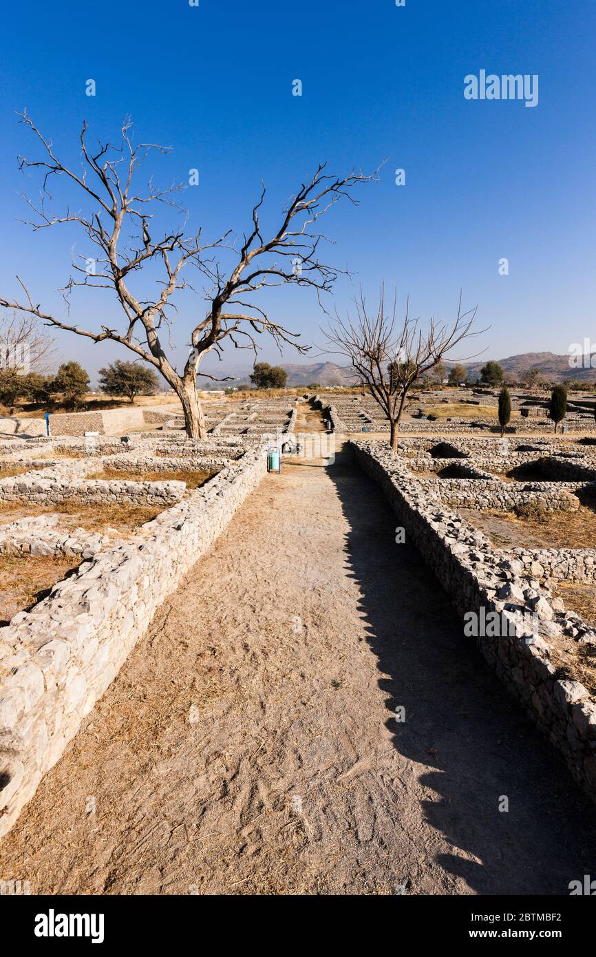 Ruines de Sircap dans la ville ancienne de Taxila, Taxila, banlieue d'Islamabad, province du Punjab, Pakistan, Asie du Sud, Asie Banque D'Images
