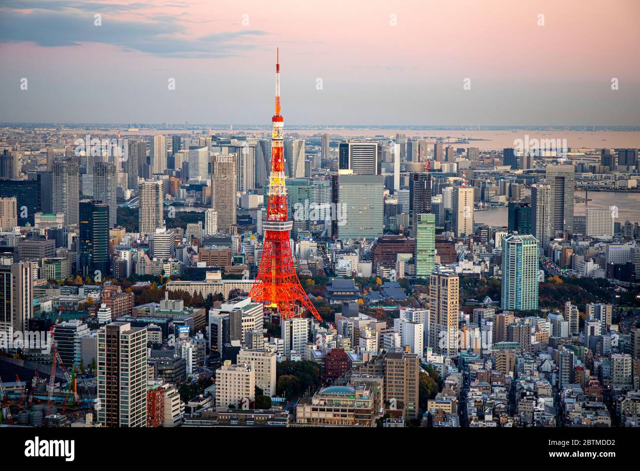 Japon, Tokyo, horizon de Minato Ku, Tour de Tokyo, panorama Banque D'Images