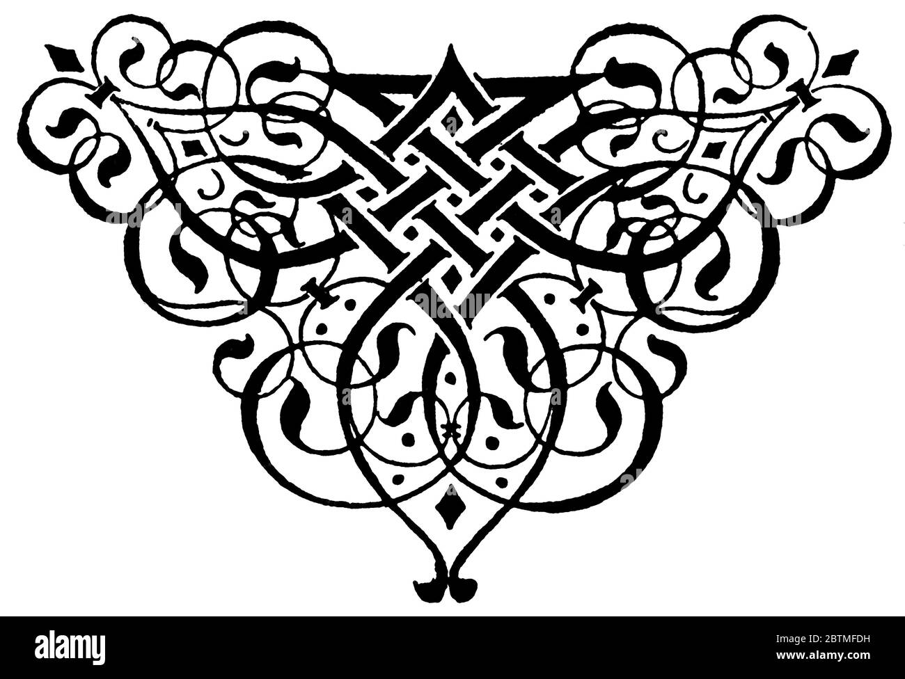 Décoration fleurie abstraite, séparateur de chapitre dans un livre. Illustration du XIXe siècle. Fond blanc. Banque D'Images