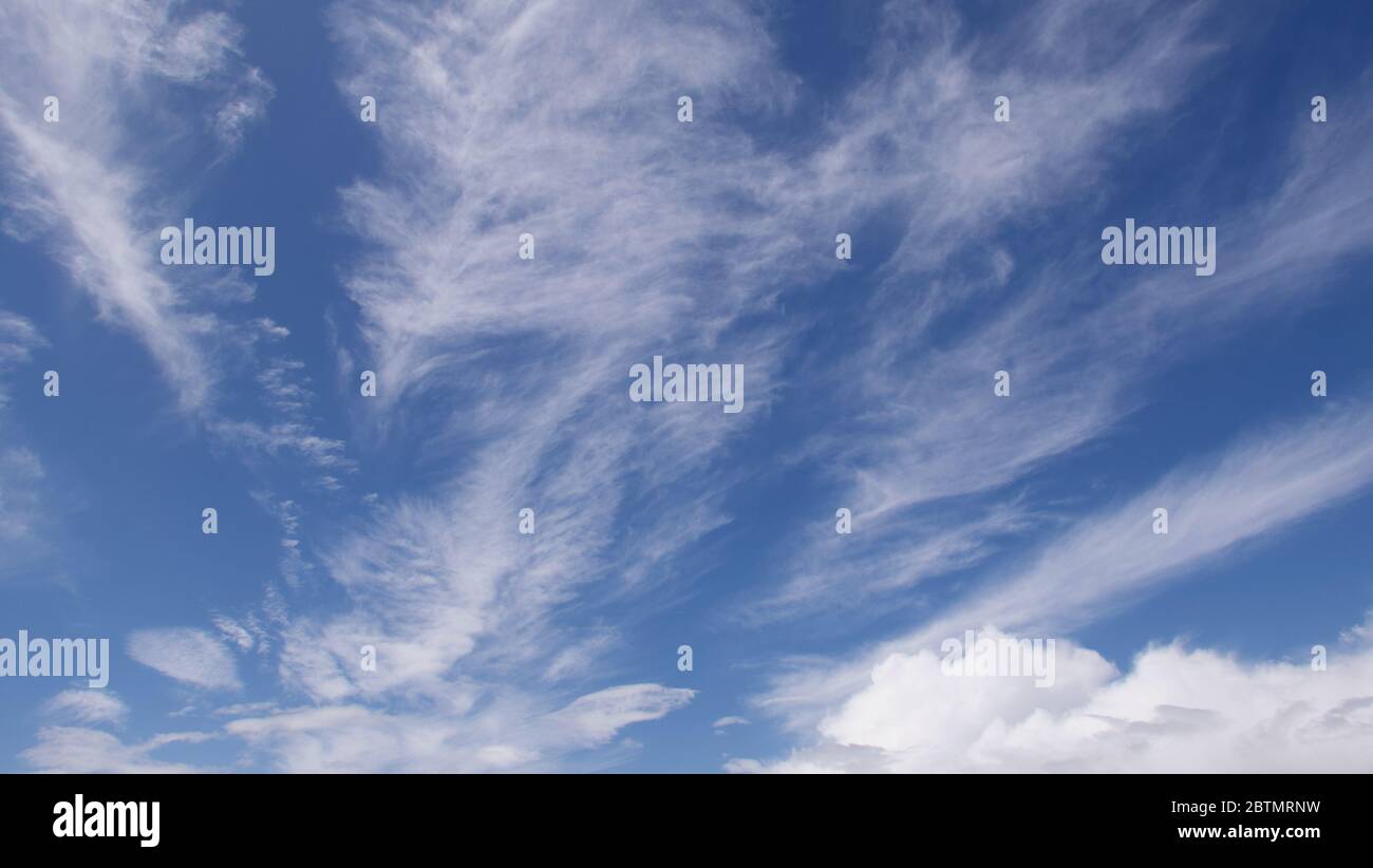 Magnifique formation de nuages doux et wispy contre un ciel bleu profond Banque D'Images