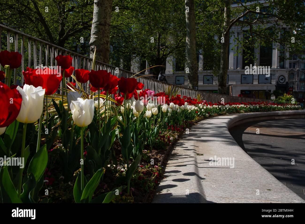 Leicester Square vide de circulation et de personnes. La région est déserte en raison des règlements de confinement mis en place pendant l'épidémie de coronavirus au Royaume-Uni. Banque D'Images
