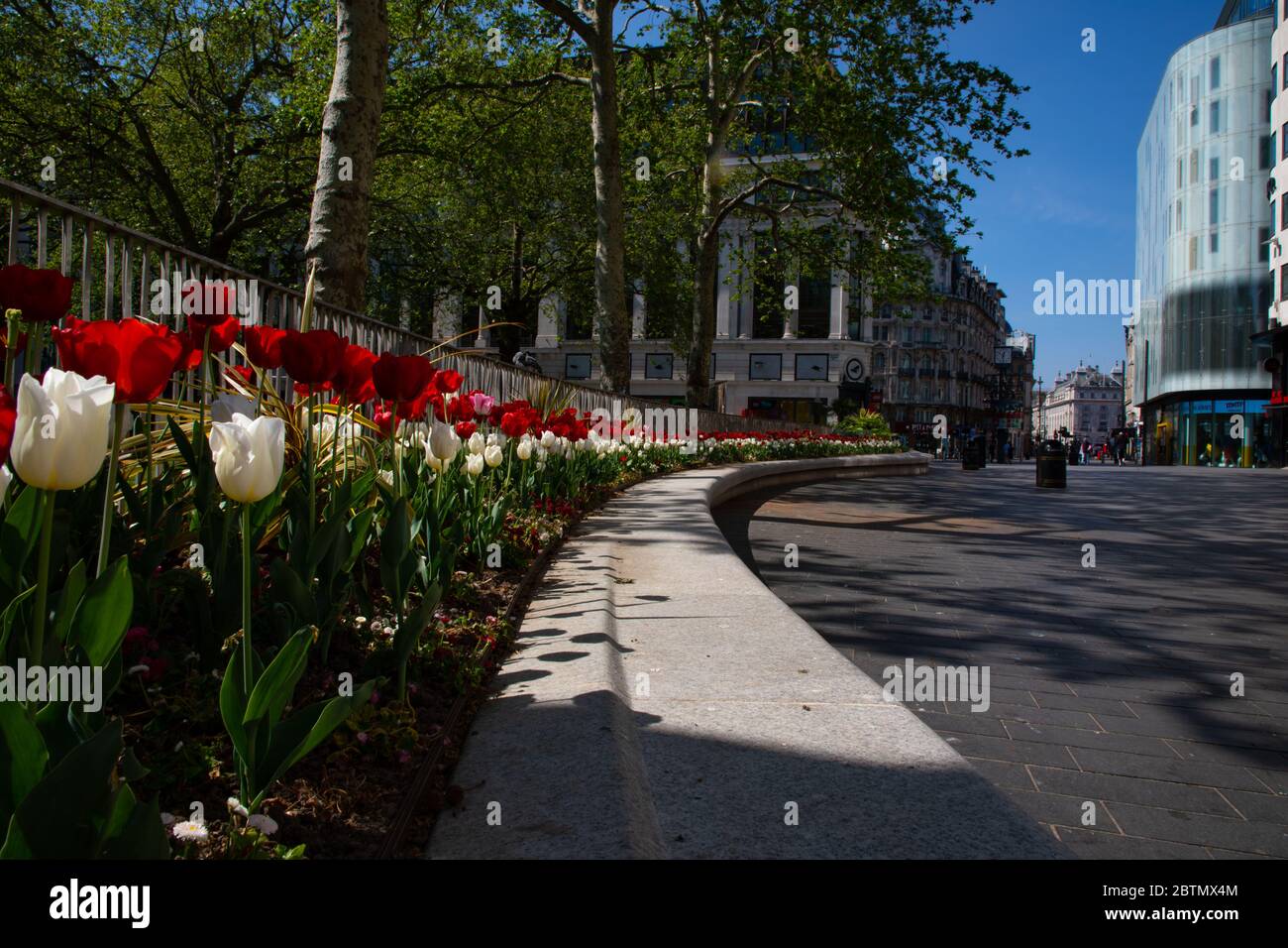 Leicester Square vide de circulation et de personnes. La région est déserte en raison des règlements de confinement mis en place pendant l'épidémie de coronavirus au Royaume-Uni. Banque D'Images
