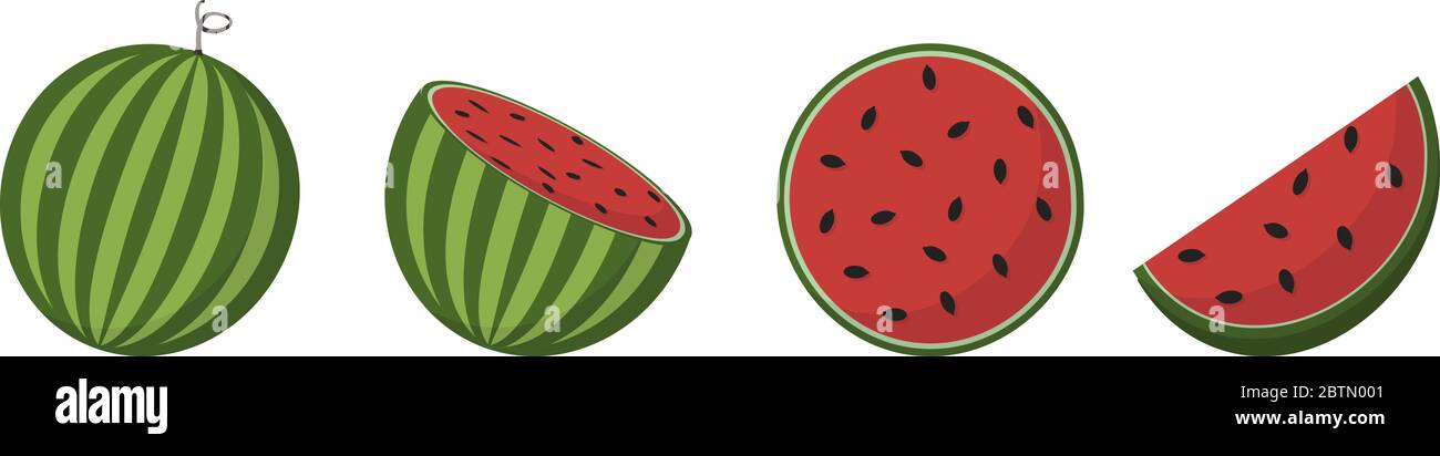 La pastèque, fruits frais dans différentes conditions d'illustrations vectorielles Illustration de Vecteur