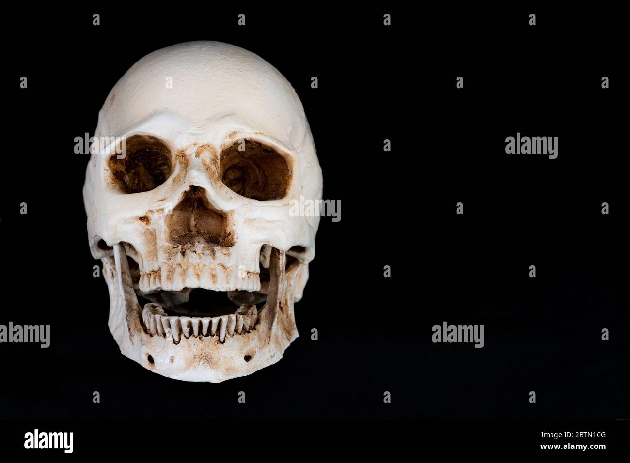 Un crâne humain qui s'étale directement au spectateur. La mâchoire est légèrement ouverte. Isolé sur un fond noir. Banque D'Images