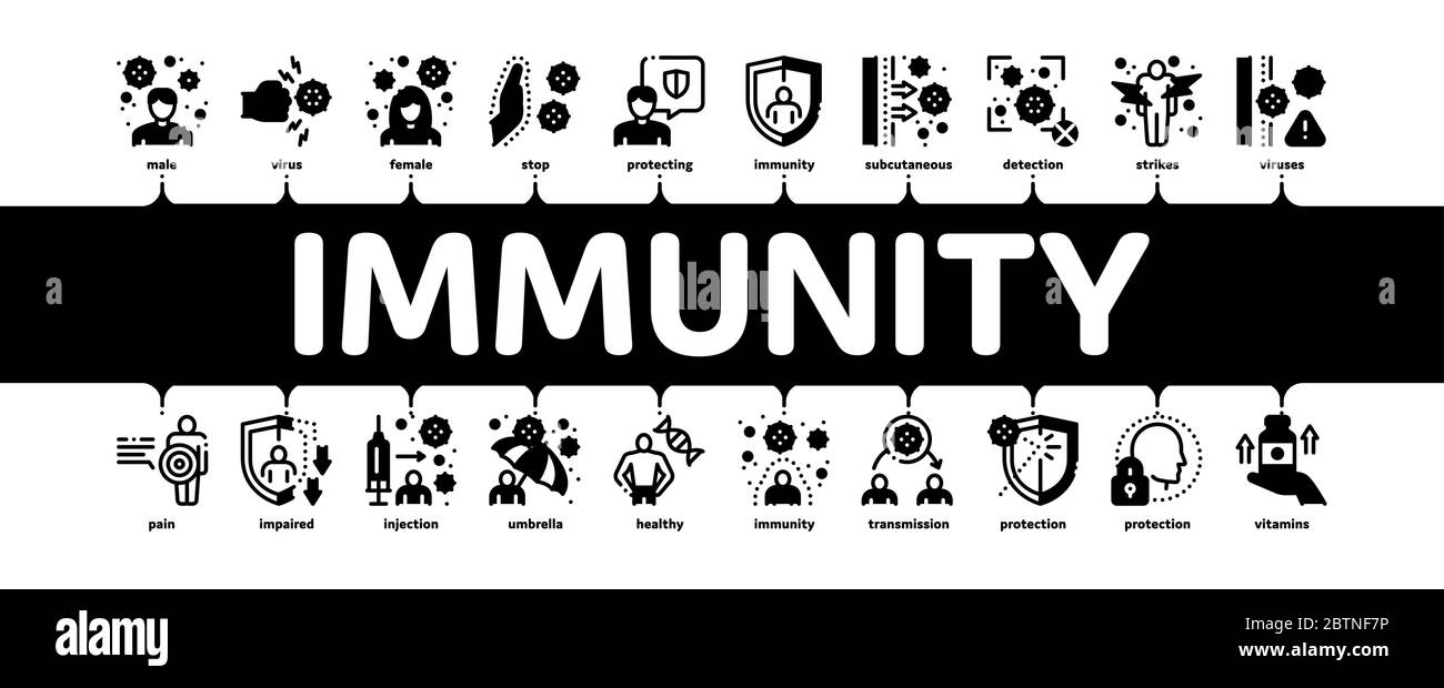 Immunité Défense biologique humaine petit vecteur de bannière Infographique Illustration de Vecteur
