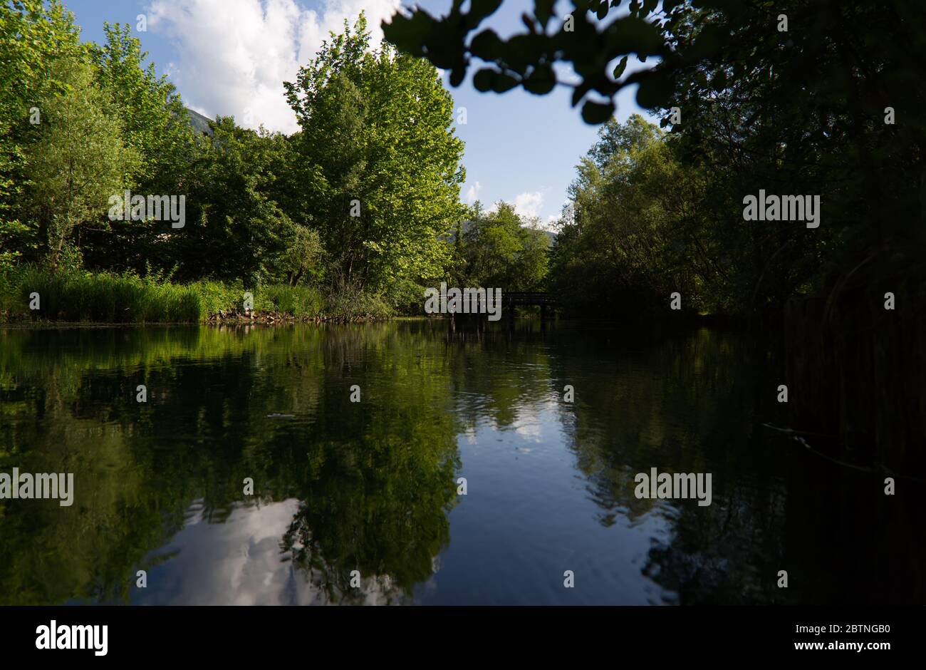 Italie, les splendides eaux vertes profondes de la rivière Livenza Banque D'Images