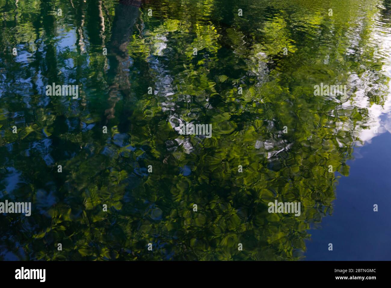 Italie, les splendides eaux vertes profondes de la rivière Livenza Banque D'Images