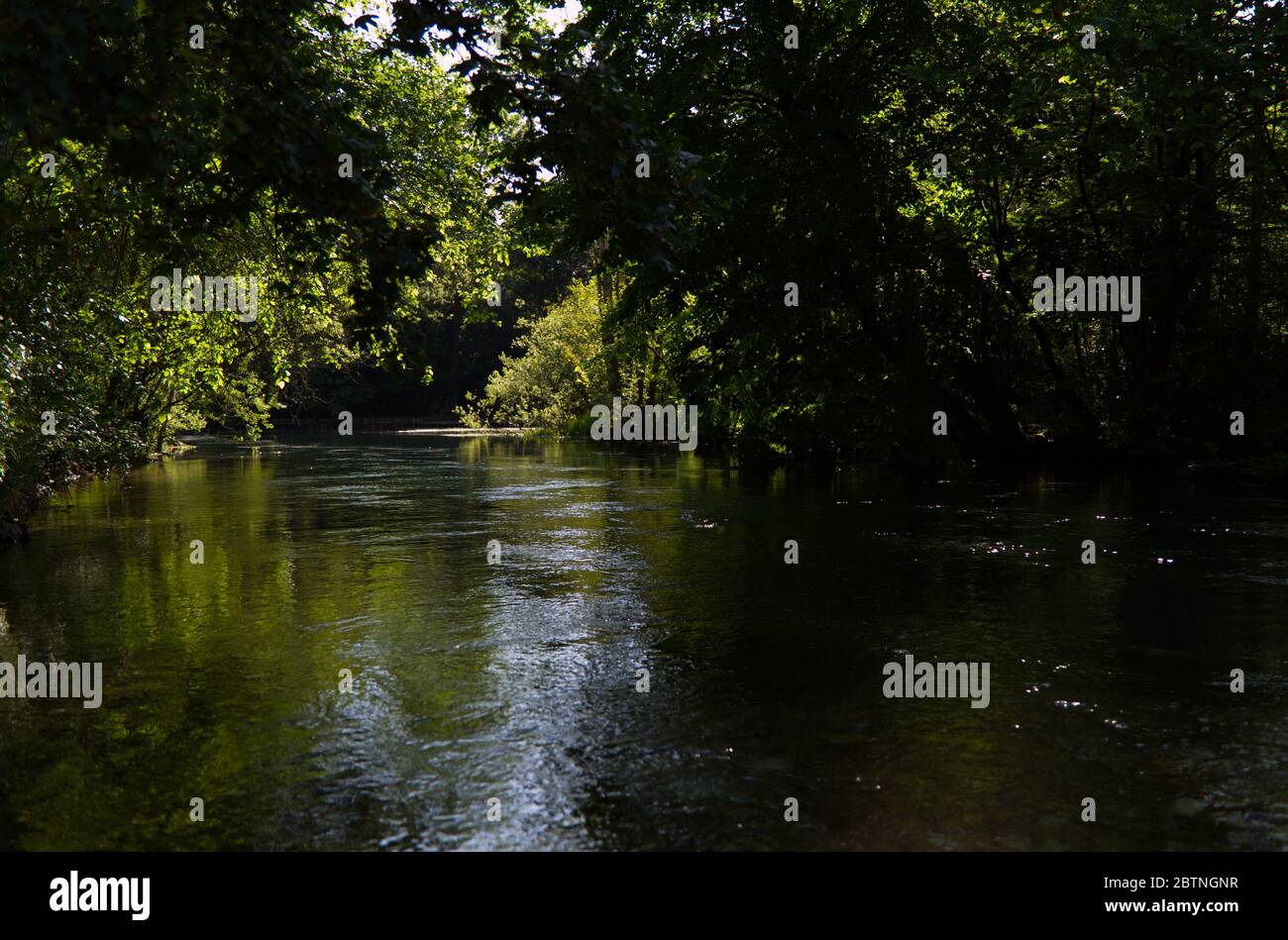 Italie, les splendides eaux vertes profondes de la rivière Livenza Banque D'Images