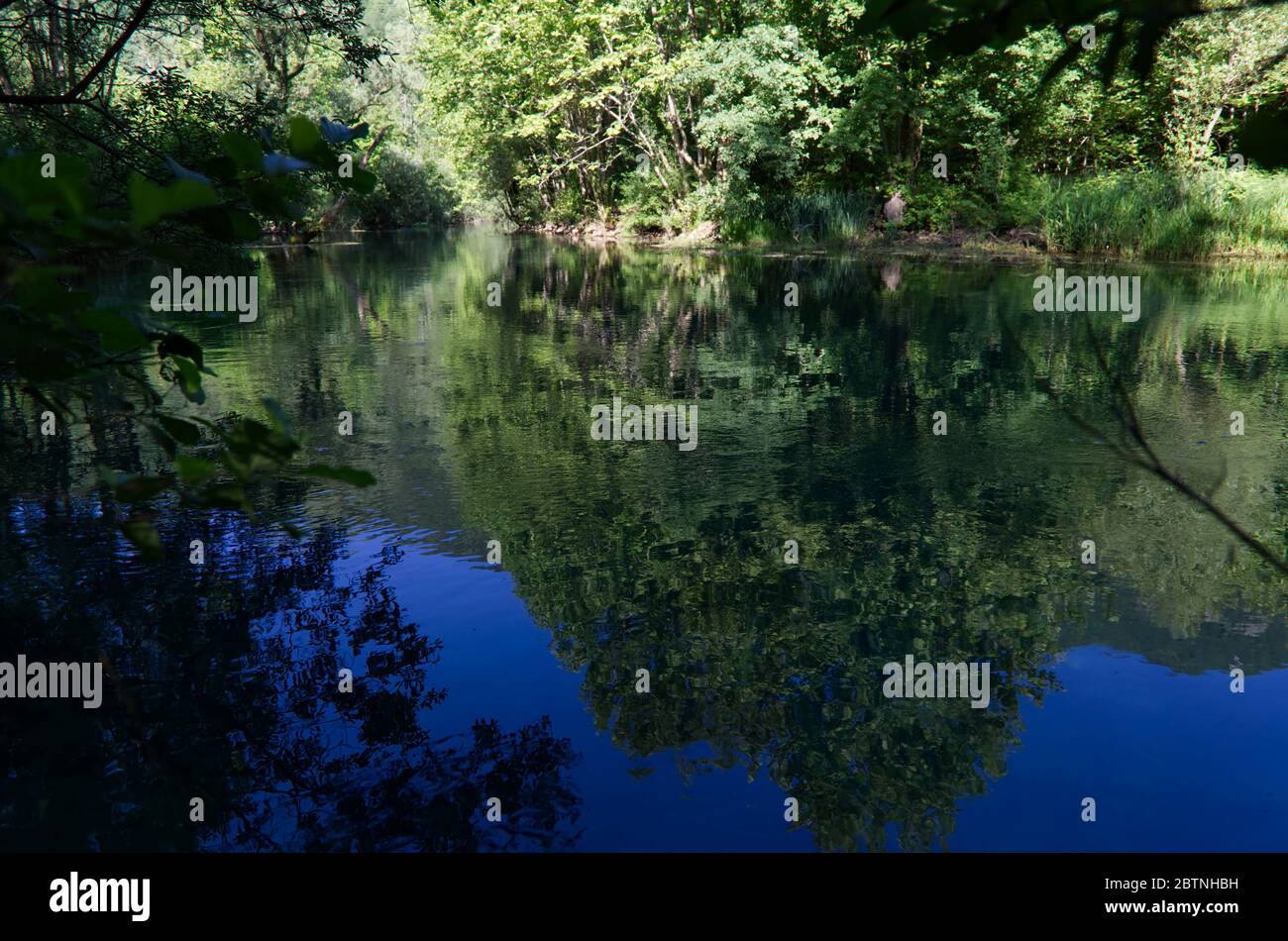 Italie, les splendides eaux vertes profondes de la rivière Livenza Banque D'Images