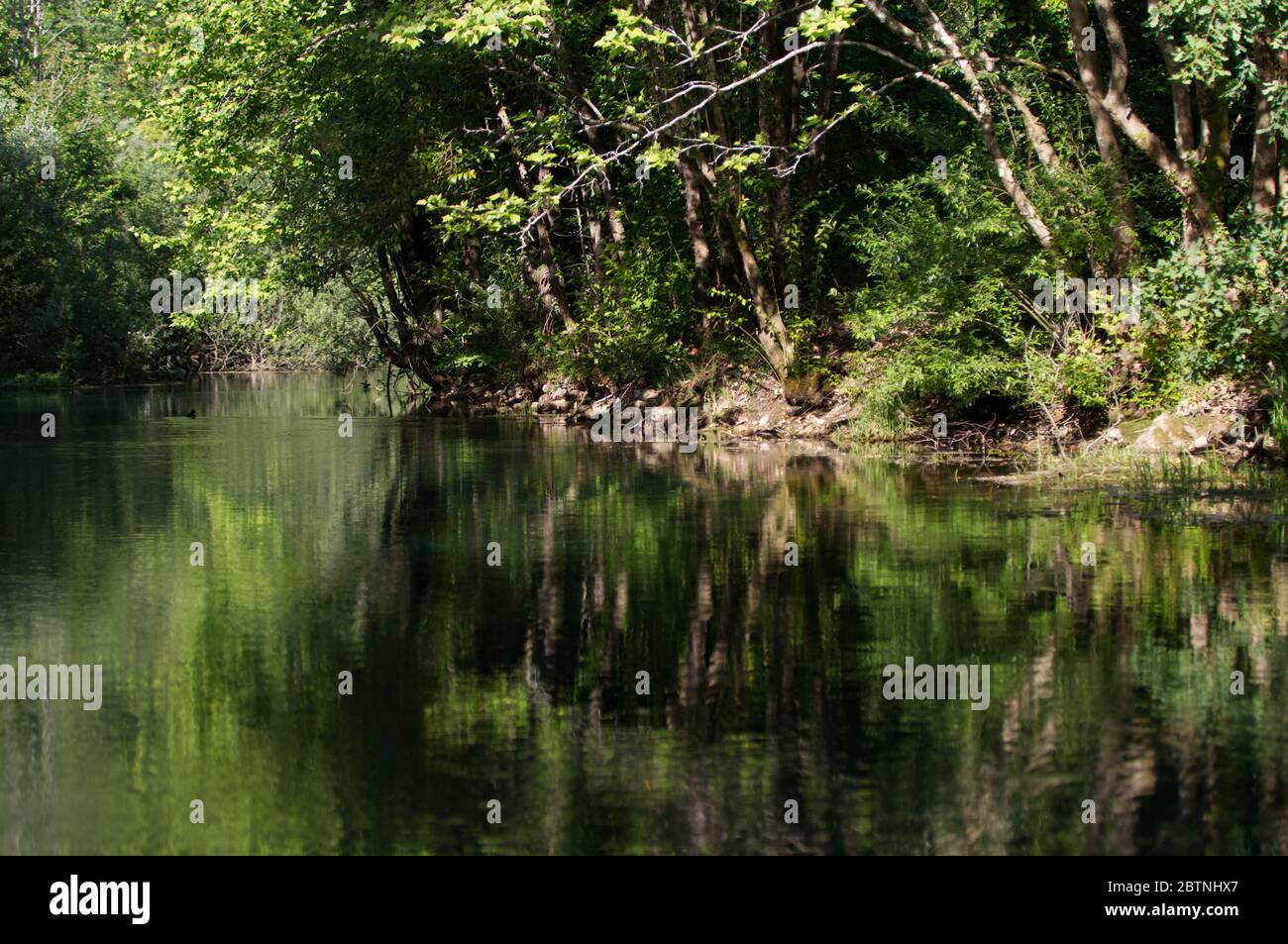 Italie, les splendides eaux vertes profondes de la rivière Livenza Banque D'Images