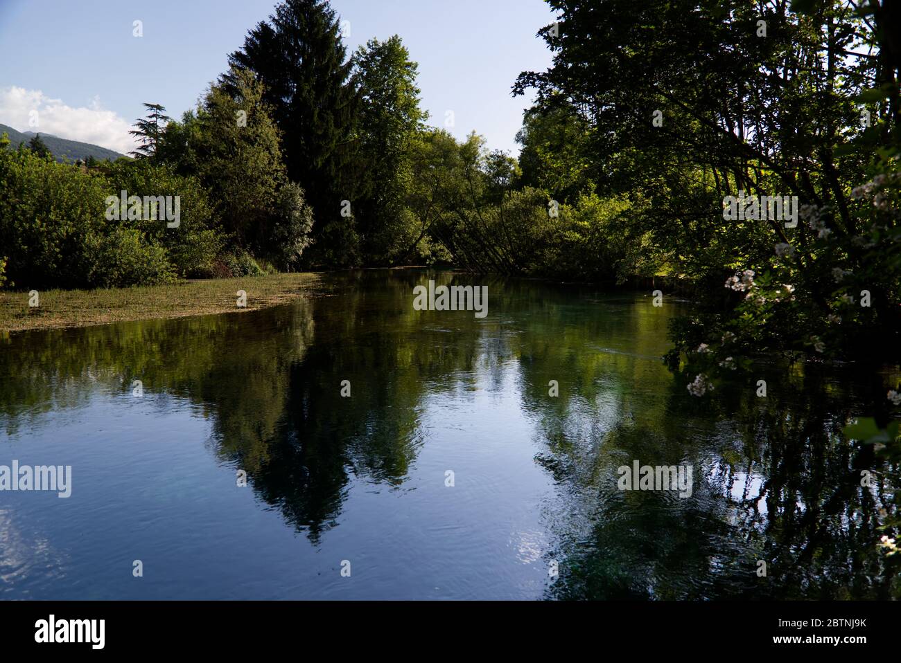 Italie, les splendides eaux vertes profondes de la rivière Livenza Banque D'Images