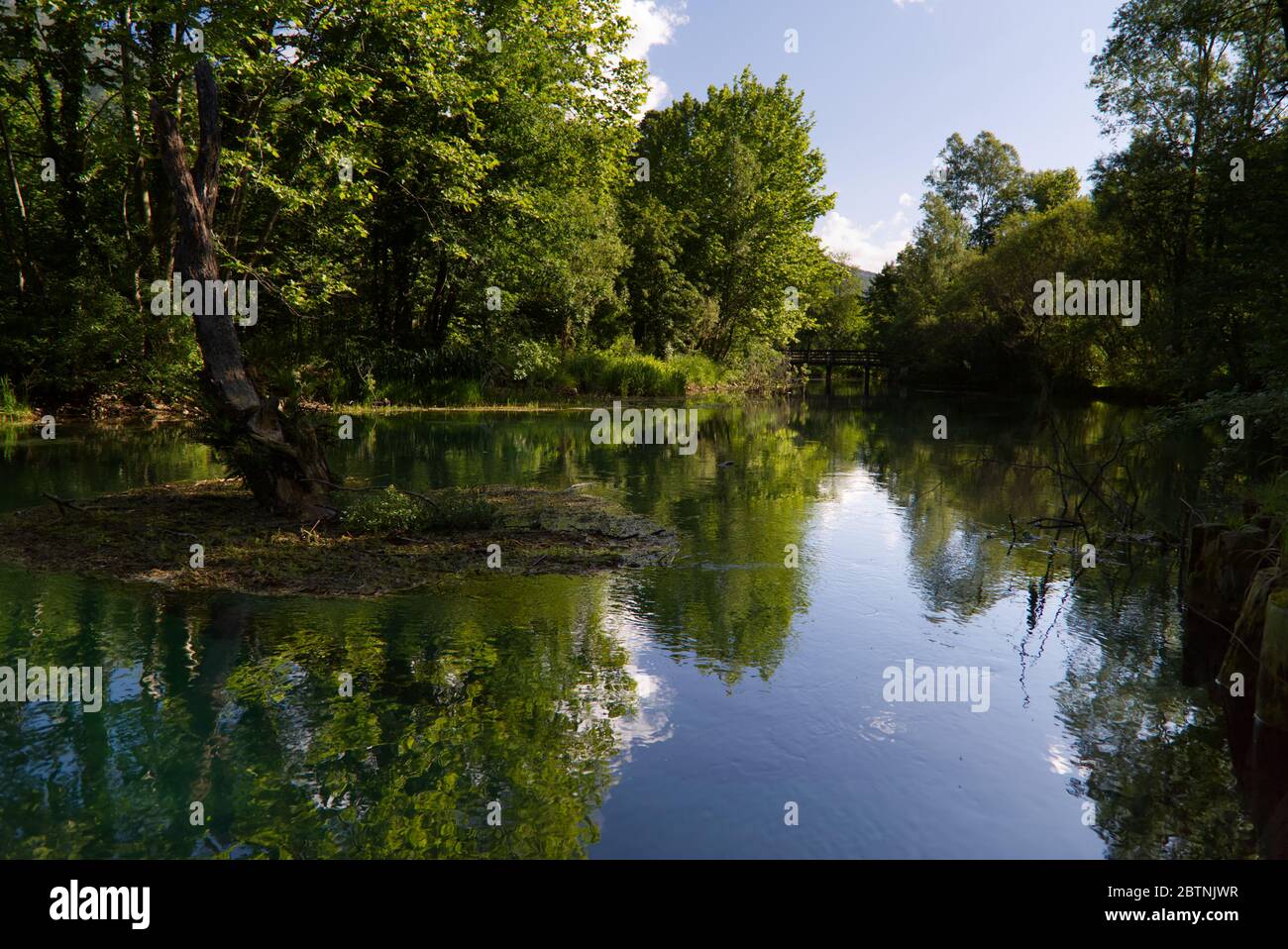 Italie, les splendides eaux vertes profondes de la rivière Livenza Banque D'Images