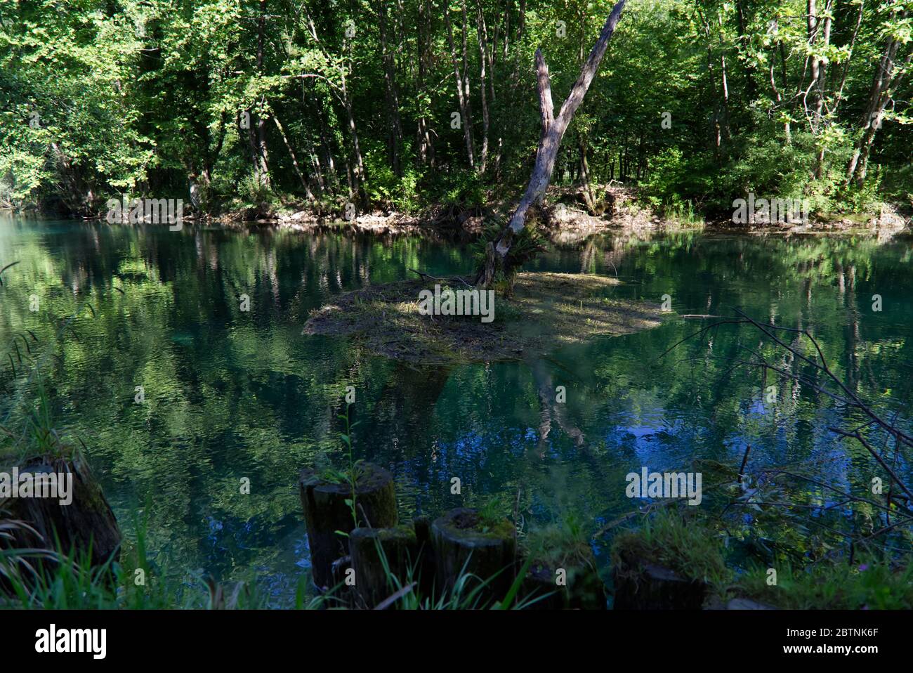 Italie, les splendides eaux vertes profondes de la rivière Livenza Banque D'Images