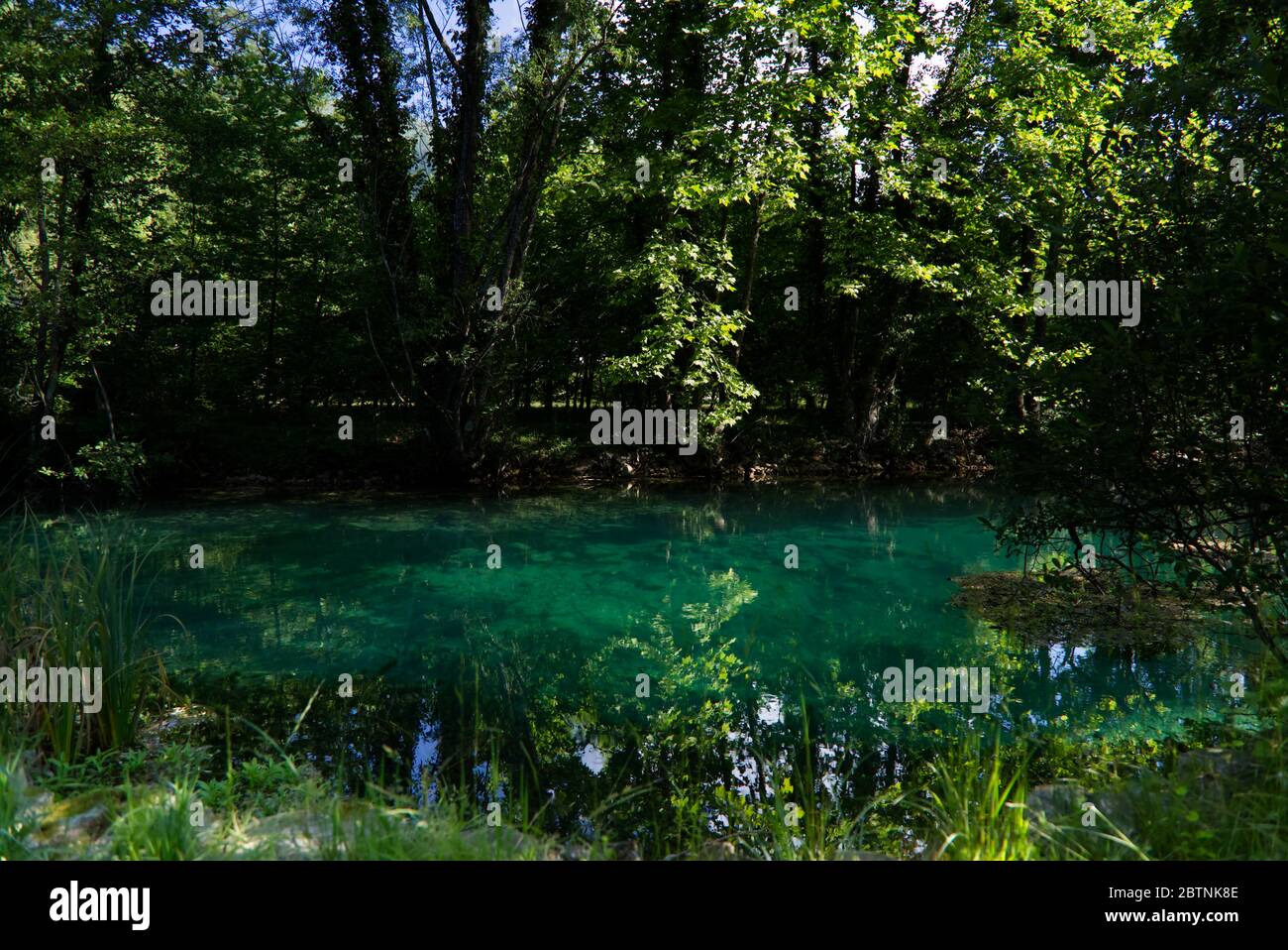 Italie, les splendides eaux vertes profondes de la rivière Livenza Banque D'Images