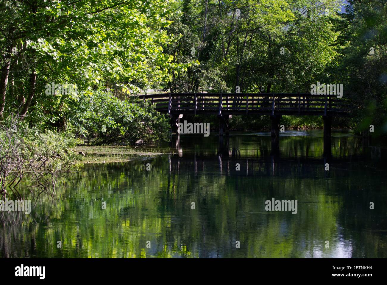 Italie, les splendides eaux vertes profondes de la rivière Livenza Banque D'Images