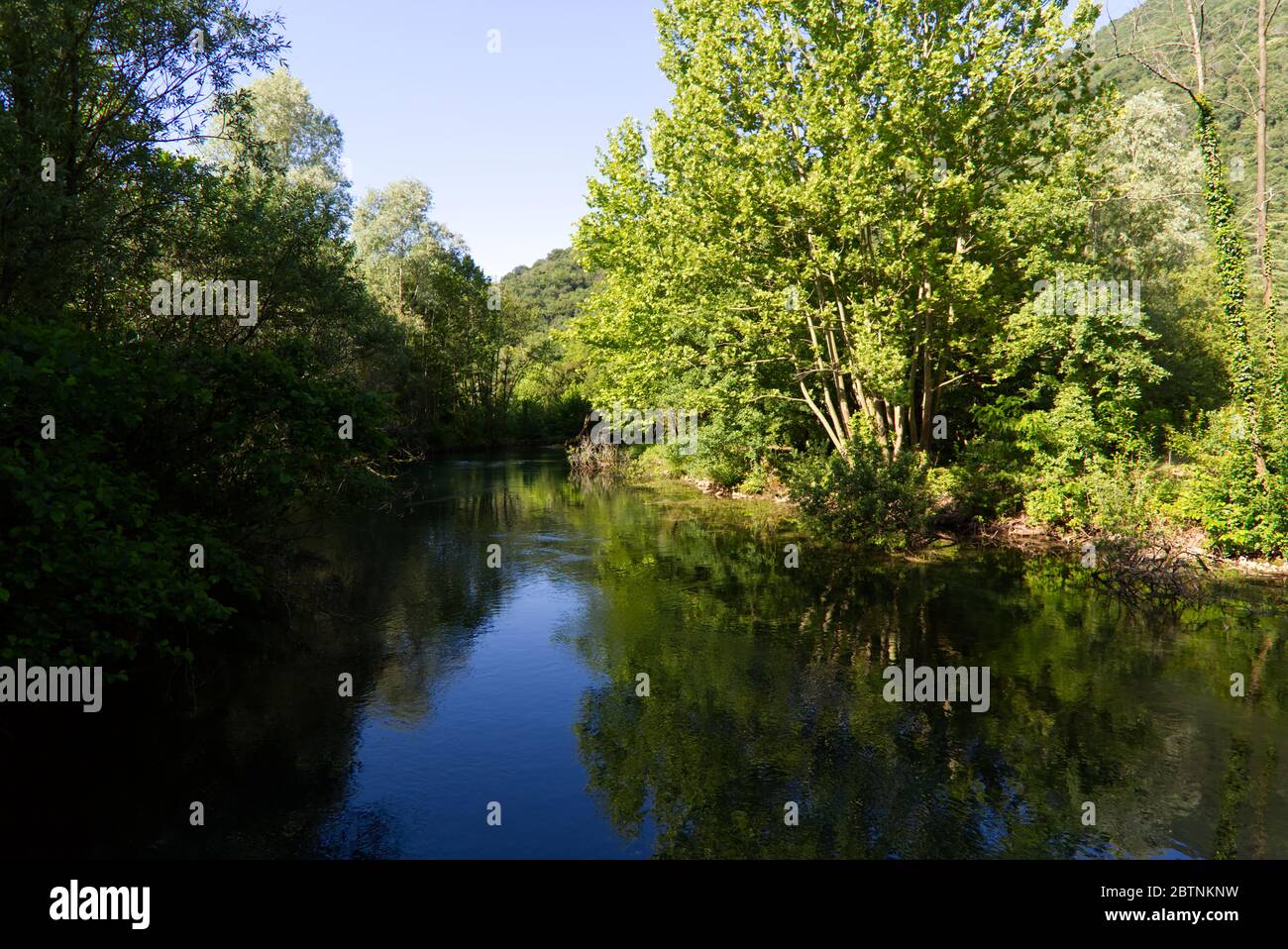 Italie, les splendides eaux vertes profondes de la rivière Livenza Banque D'Images