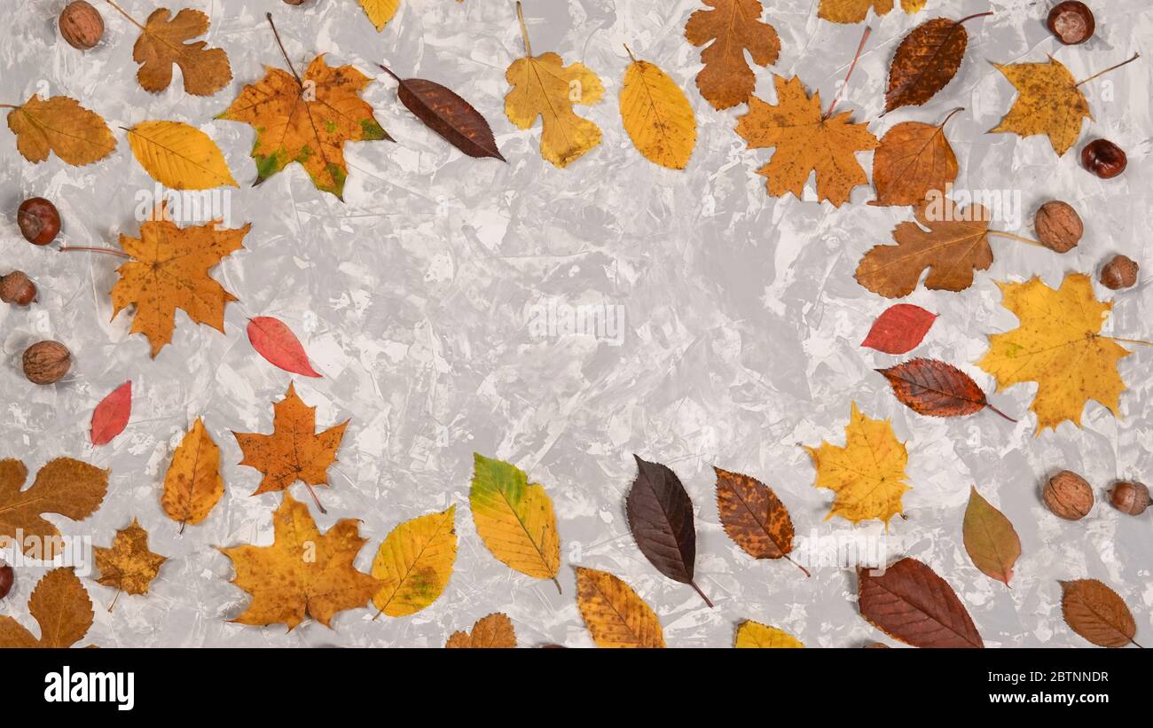 Cadre en feuilles d'automne séchées orange et jaune, couleurs pastel. Composition d'automne. Concepts de carte postale ou de carte de vœux. Flat lay, espace de copie Banque D'Images