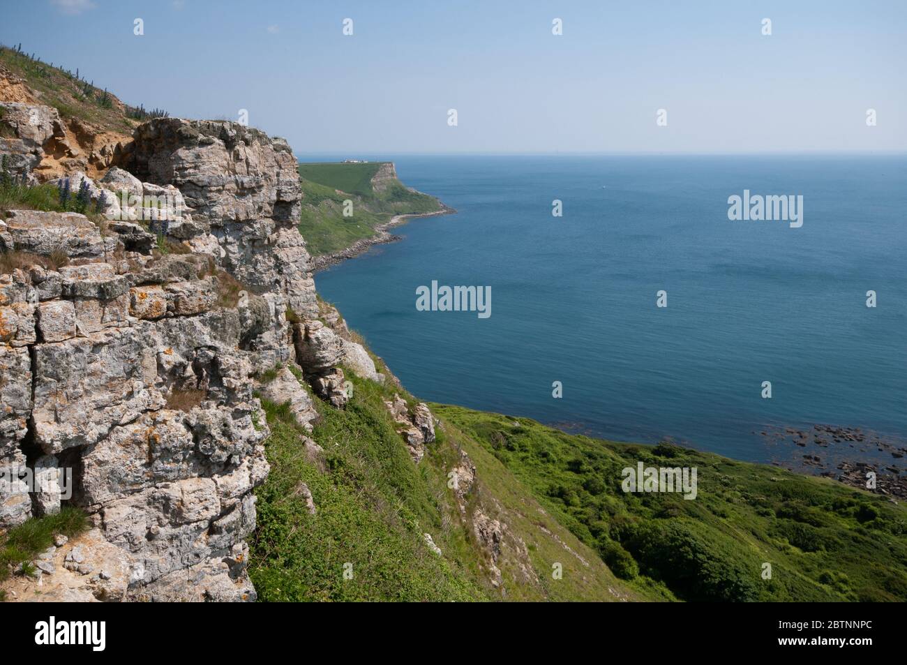 En direction de St. Aldhelms, prenez la direction de Houns Tout, sur la côte jurasique, Dorset Banque D'Images