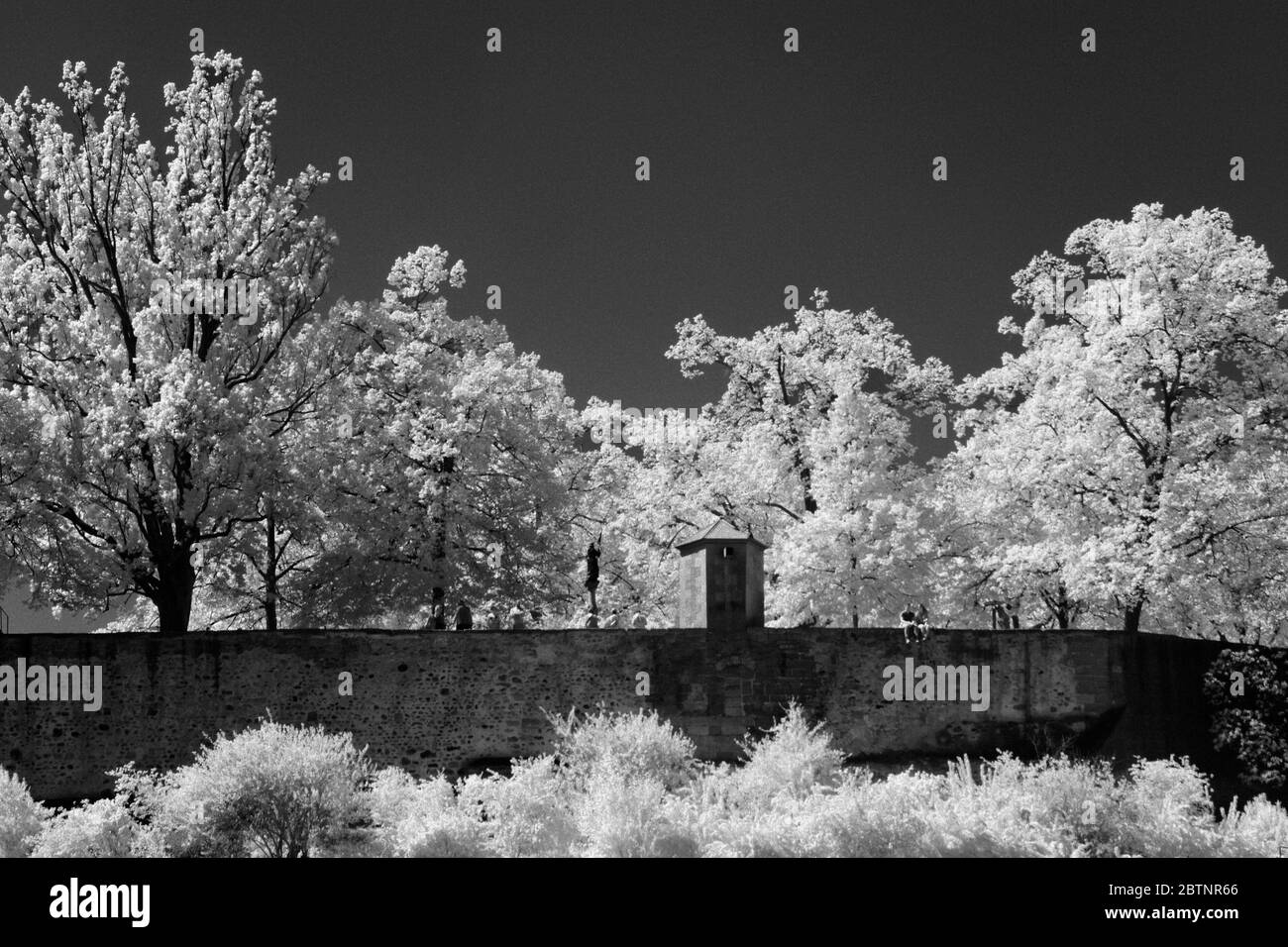 image infrarouge - colline de lindenhof - ville de zurich - suisse Banque D'Images