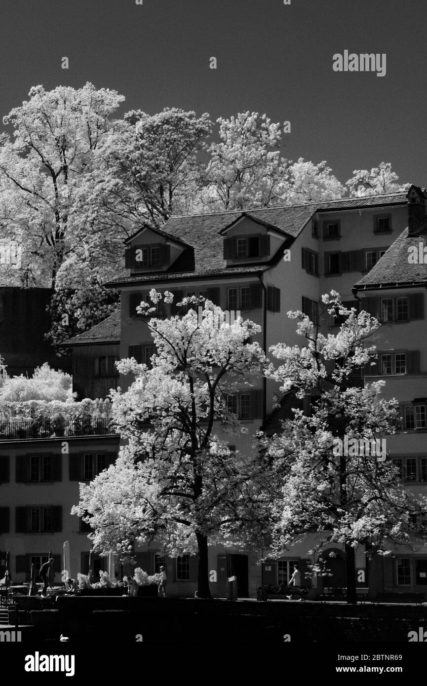 image infrarouge - vue sur la colline du tilleul et les rives du limmat - ville de zurich - suisse Banque D'Images