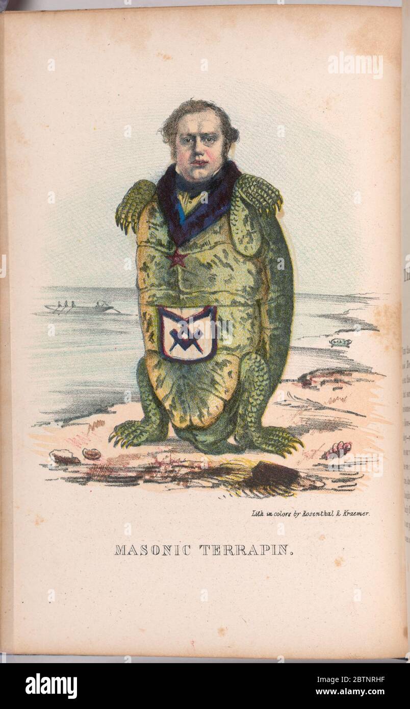 Terrapin maçonnique. Banque D'Images