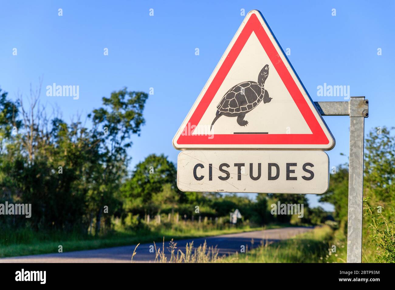 France, Indre, Berry, Parc naturel régional de la Brenne, Michel en Brenne, panneau de signalisation danger passage de la tortue d'étang européenne (Emys orbicularis), protection Banque D'Images