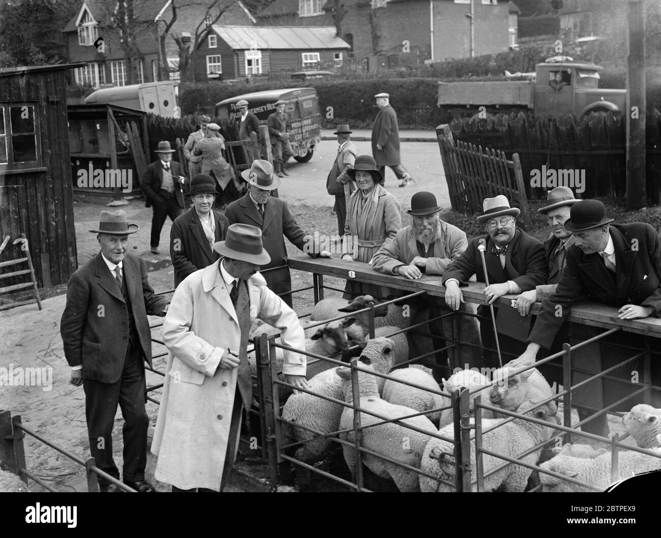 Moutons au marché Sevenoaks . 1935 Banque D'Images