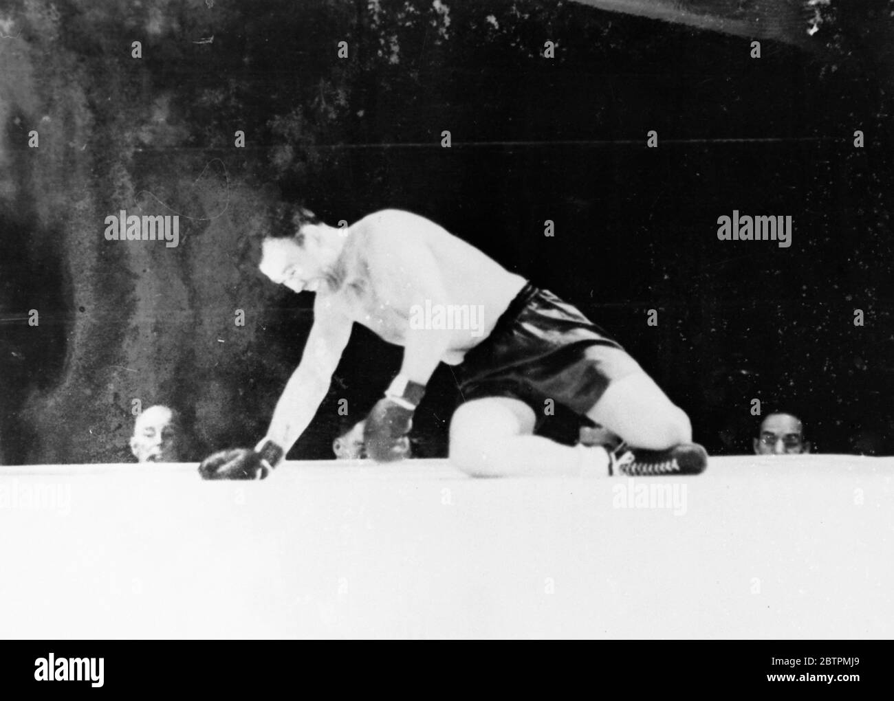 Sharkey Kayoed . Jack Sharkey , ancien champion poids lourd , vainley essaie de sortir de la toile avant le compte fatal de dix . Il a échoué et Joe Louis a gagné un knockout en 1 : 02 de la troisième ronde de leur dix ronde prévue a combattu au Yankee Stadium , New York City. 18 août 1936 Légende originale de négatif Banque D'Images