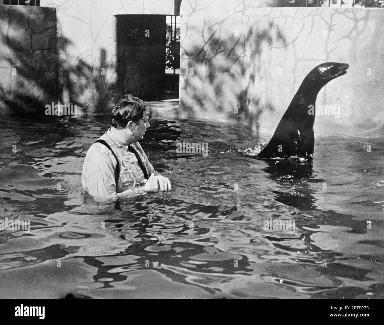 seal a pris le dernier rire!. Pour demander à l'homme normal de se plonger dans un bassin froid dans ses vêtements de travail, « affrontez » un sceau glissant avec un étrange sens de l'humour, et de continuer jusqu'à ce que de nouvelles commandes invitent à la catastrophe. Pourtant Andy Devine, humoriste de l'écran, a dû le faire pour un nouveau film, maintenant produit à Hollywood. Des spectacles de photos, une expression dégoûtée sur son visage plumpe, Andy Devine montre que le sceau s'éloigne, apparemment en riant. 29 janvier 1938 Banque D'Images