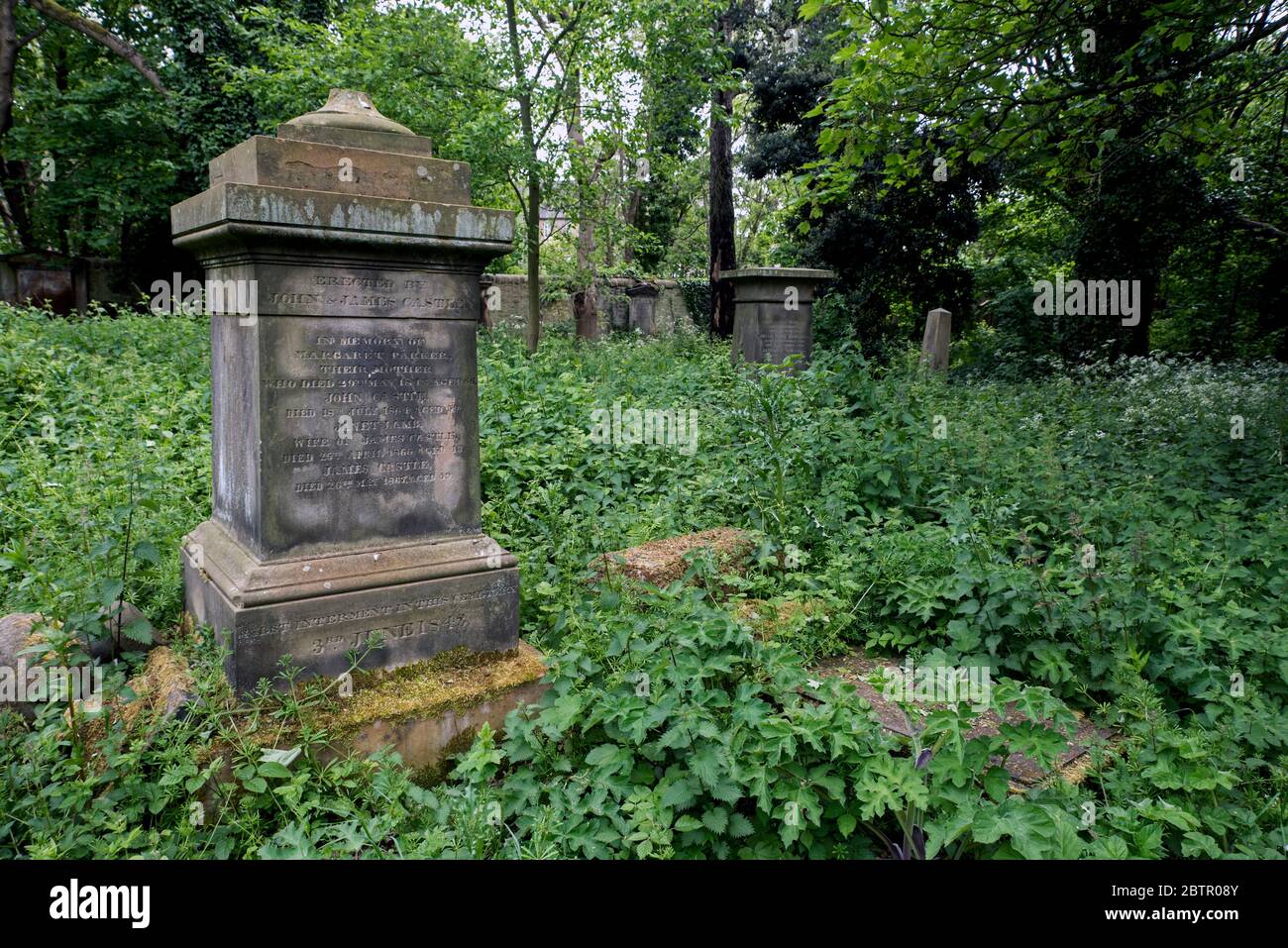 La première internement dans la section victorienne, maintenant négligée et surcultivée, du cimetière Warriston, à Édimbourg, en Écosse, au Royaume-Uni Banque D'Images La première internement dans la section victorienne, maintenant négligée et surcultivée, du cimetière Warriston, à Édimbourg, en Écosse, au Royaume-Uni Banque D'Images