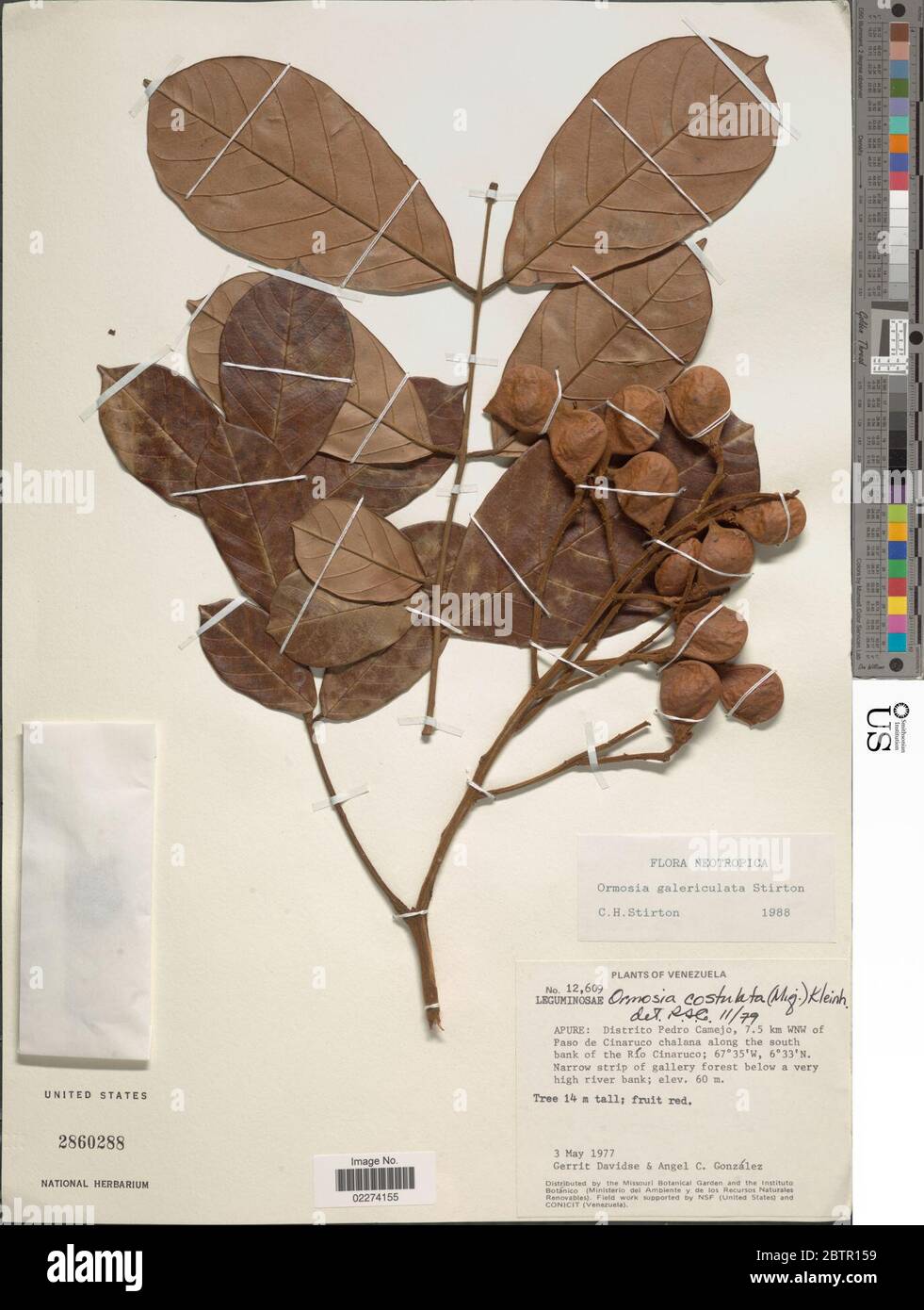 nom non publié. Banque D'Images