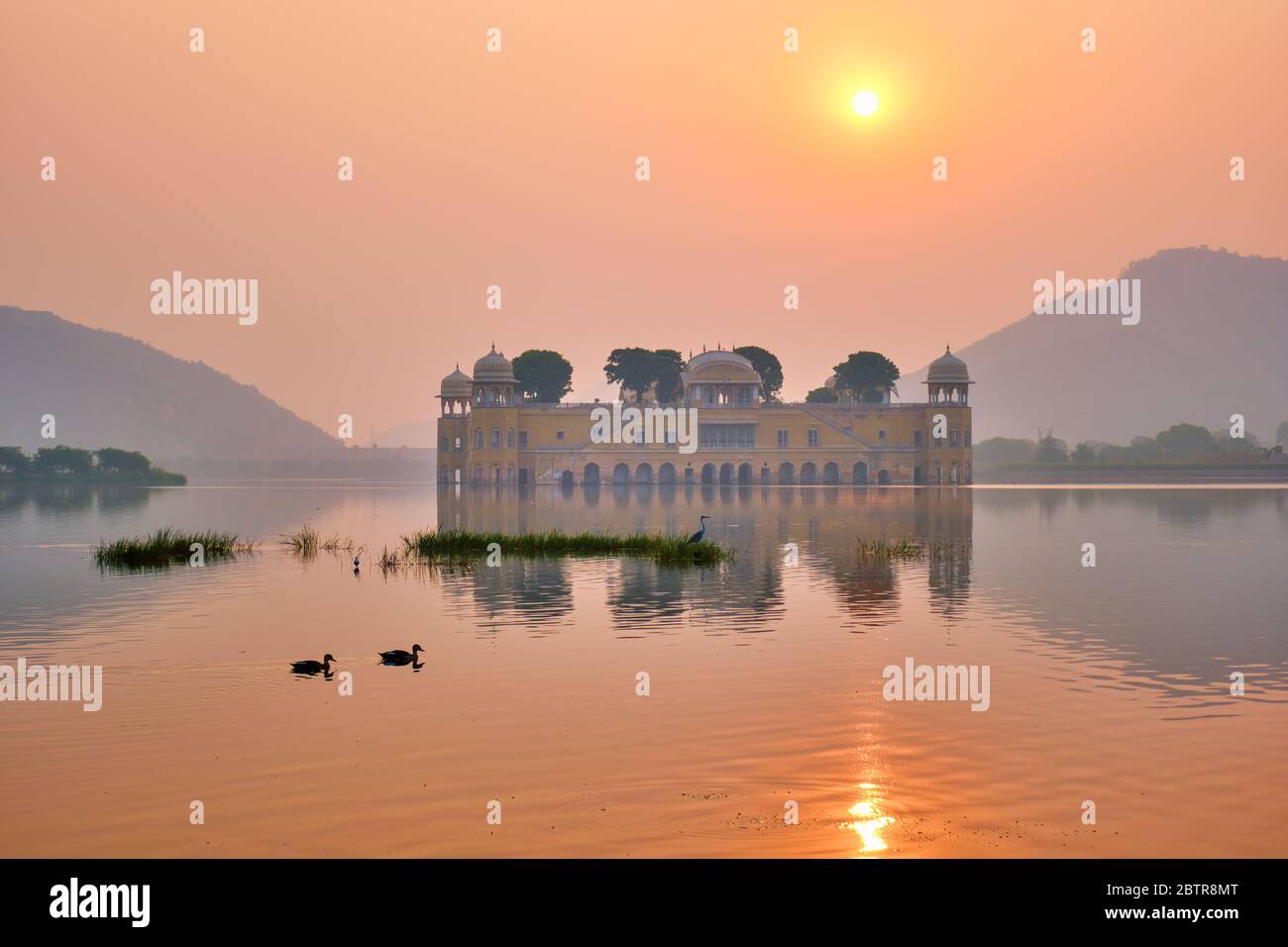 Matin tranquille au palais de l'eau de Jal Mahal au lever du soleil à Jaipur. Rajasthan, Inde Banque D'Images