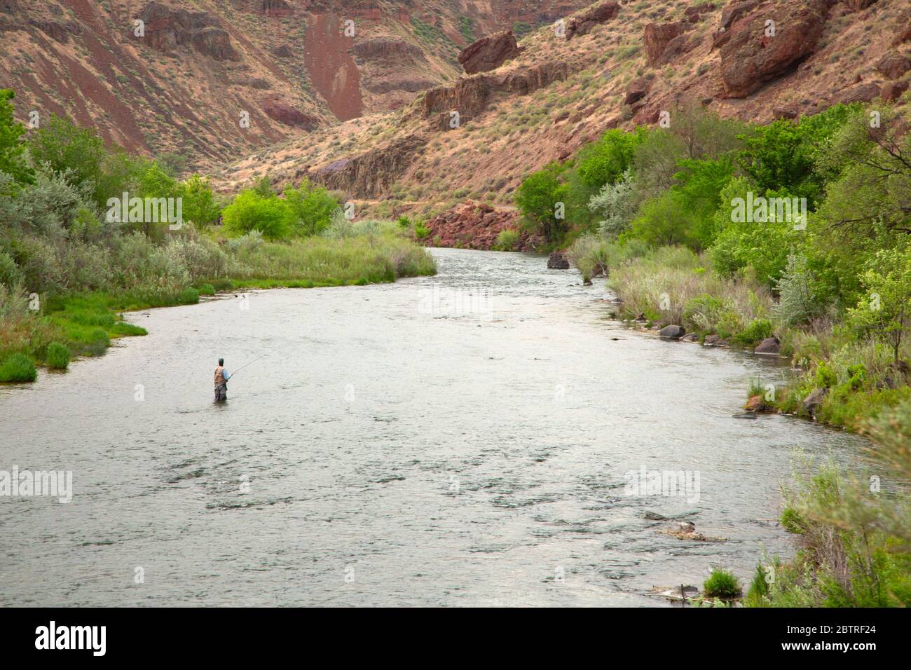 Pêche en vol la rivière Owyhee inférieure, rivière Owyhee, sous le barrage, zone critique de préoccupation environnementale, Bureau de gestion des terres du district de Vale, Oregon Banque D'Images