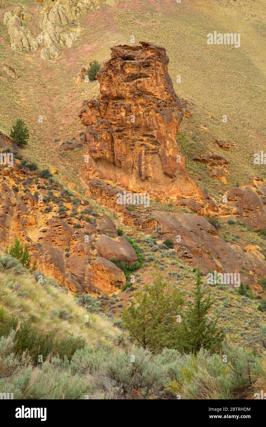 Falaises de Dago Gulch, zone d'étude de la nature sauvage du Haut-Leslie Gulch, région de Leslie Gulch préoccupante pour l'environnement, Oregon Banque D'Images
