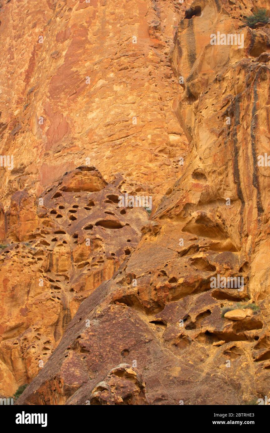 Falaises de Dago Gulch, zone d'étude de la nature sauvage du Haut-Leslie Gulch, région de Leslie Gulch préoccupante pour l'environnement, Oregon Banque D'Images