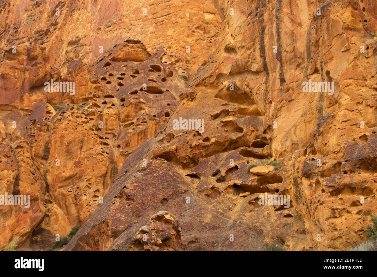 Falaises de Dago Gulch, zone d'étude de la nature sauvage du Haut-Leslie Gulch, région de Leslie Gulch préoccupante pour l'environnement, Oregon Banque D'Images