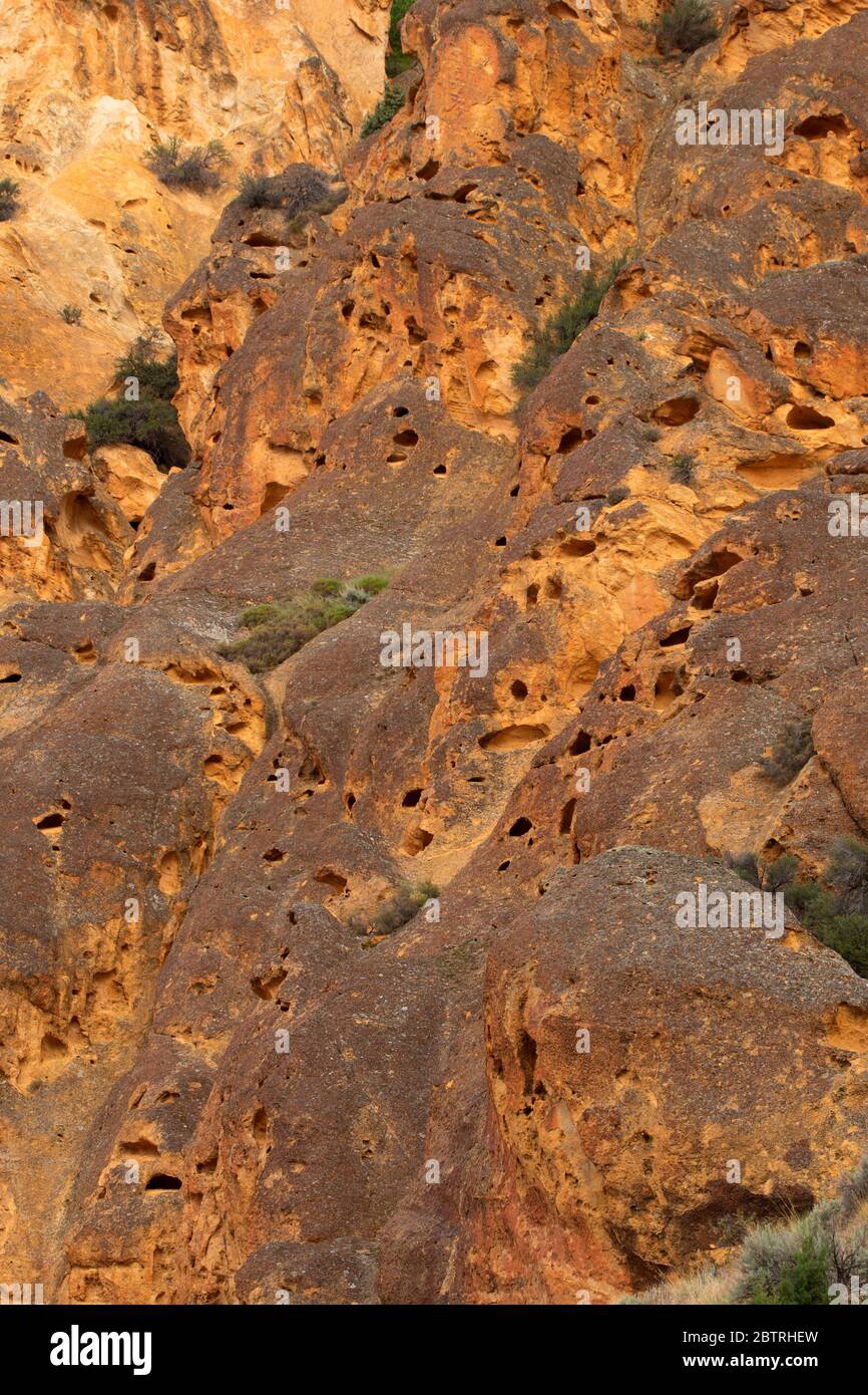 Falaises de Dago Gulch, zone d'étude de la nature sauvage du Haut-Leslie Gulch, région de Leslie Gulch préoccupante pour l'environnement, Oregon Banque D'Images