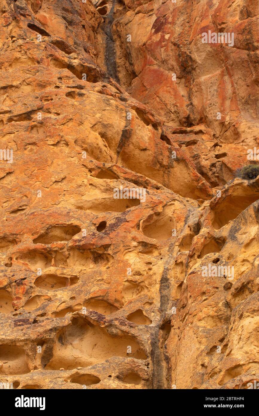 Falaises de Dago Gulch, zone d'étude de la nature sauvage du Haut-Leslie Gulch, région de Leslie Gulch préoccupante pour l'environnement, Oregon Banque D'Images