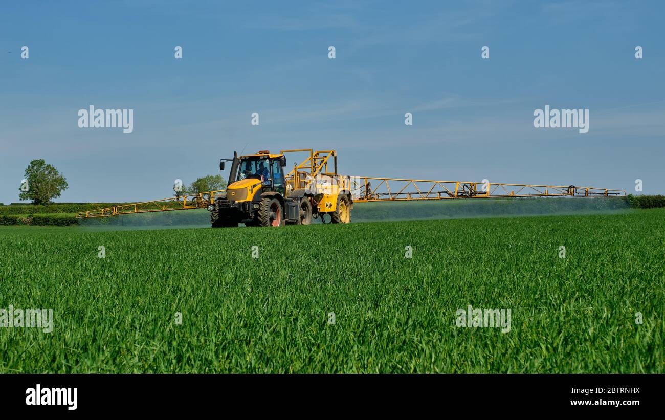 Tracteur Fastrac JCB 2155 avec pulvérisateur de récolte Chafer série E pulvérisant de l'orge de printemps appliquant des produits chimiques de protection des récoltes Banque D'Images