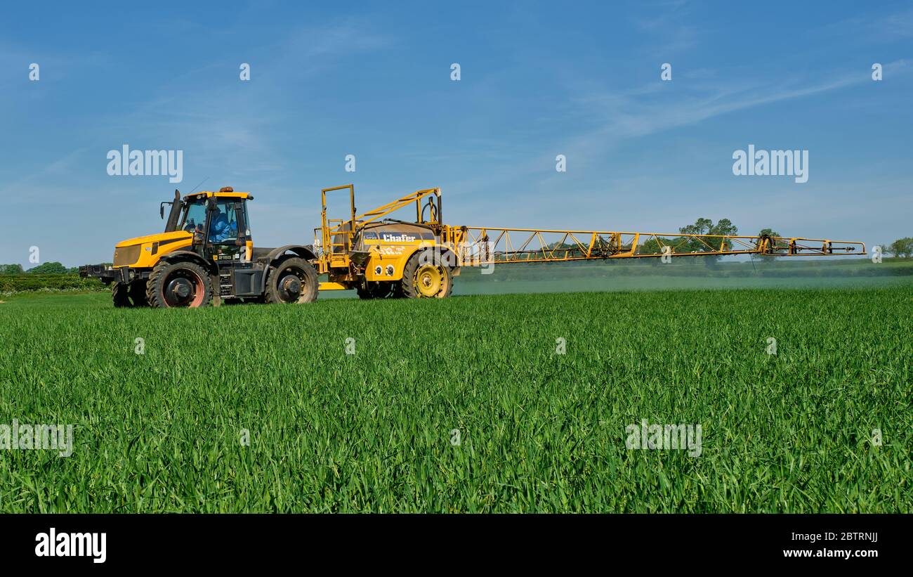 Tracteur Fastrac JCB 2155 avec pulvérisateur de récolte Chafer série E pulvérisant de l'orge de printemps appliquant des produits chimiques de protection des récoltes Banque D'Images