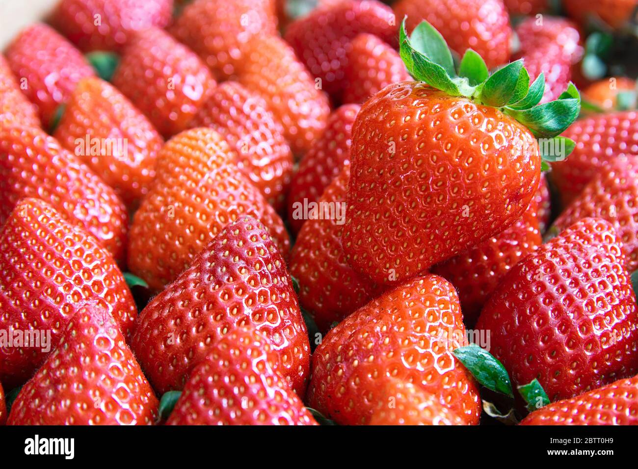 Allergie aux fraises Banque de photographies et d’images à haute ...
